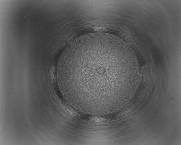 X0000073920650200608251550