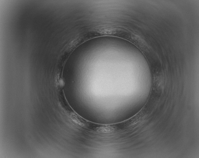 X0000073920652200608251550