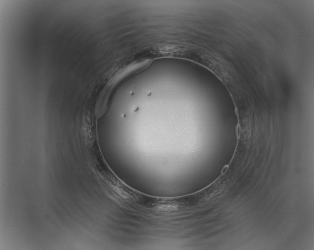 X0000073920653200608251550