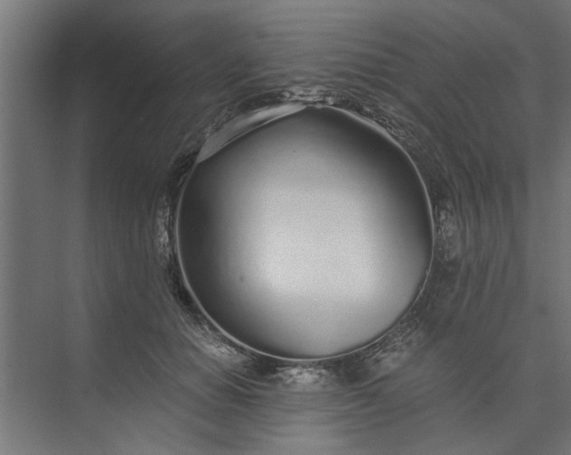 X0000073920654200608251550