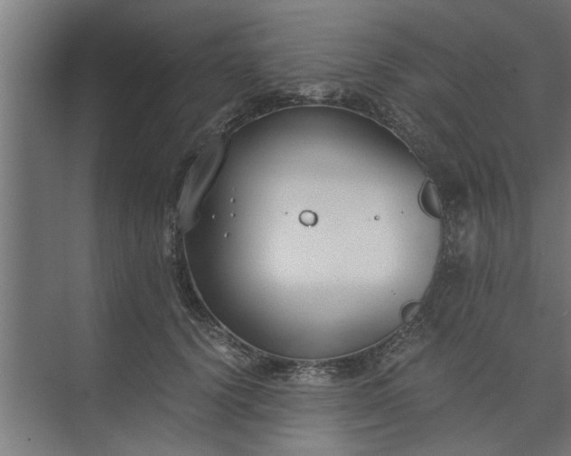 X0000073920656200608251550