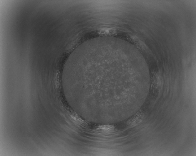 X0000073920659200608251551