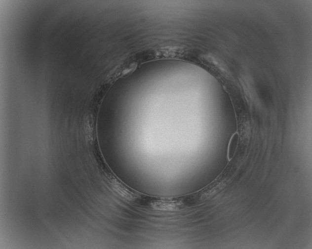 X0000073920661200608251551