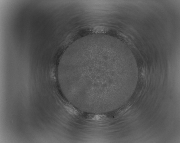 X0000073920663200608251551