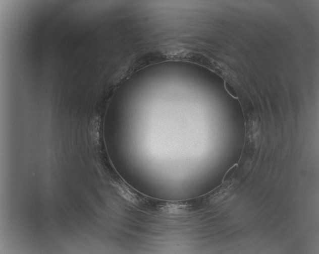 X0000073920664200608251551