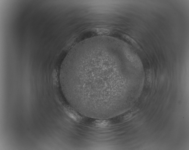 X0000073920667200608251551