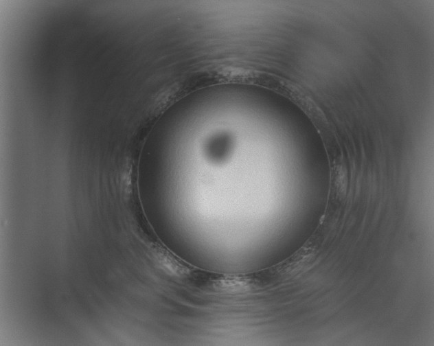 X0000073920668200608251551