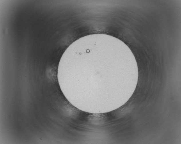 X0000073920672200608251551