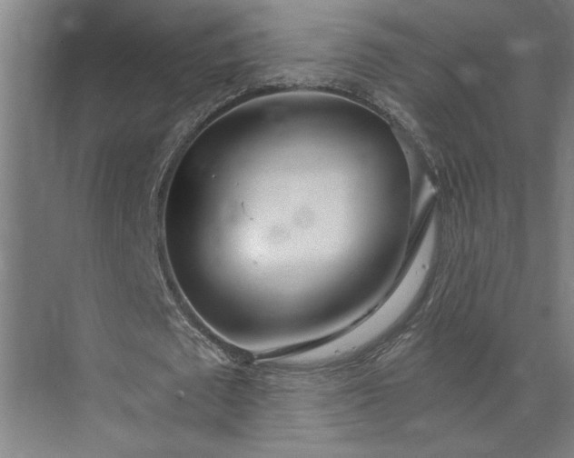 X0000073920673200608251550