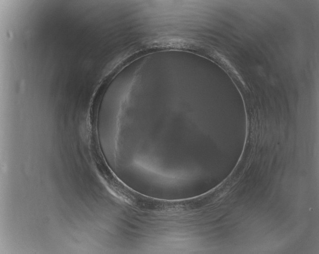 X0000073920674200608251550