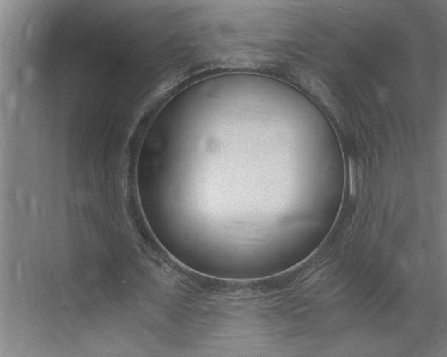 X0000073920675200608251550