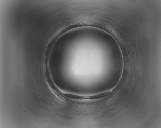 X0000073920677200608251550