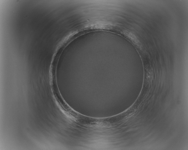 X0000073920678200608251550