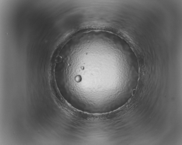 X0000073920679200608251550