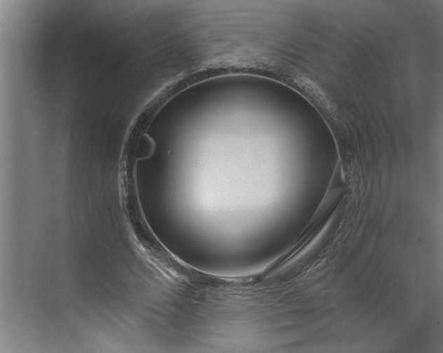 X0000073920680200608251550