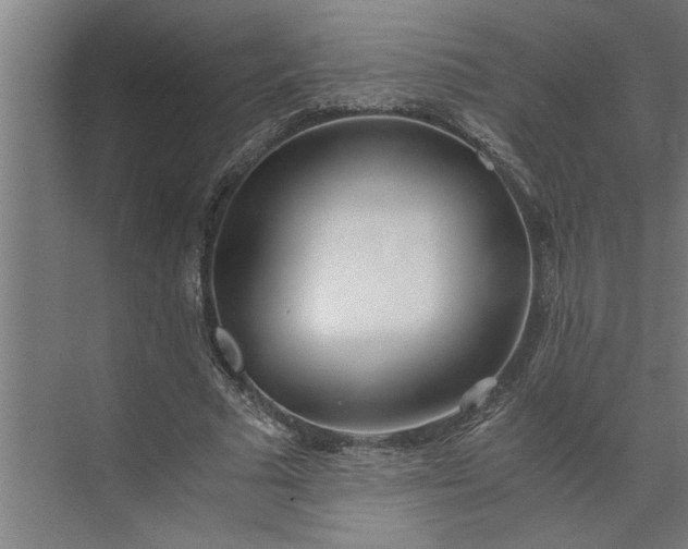 X0000073920681200608251550