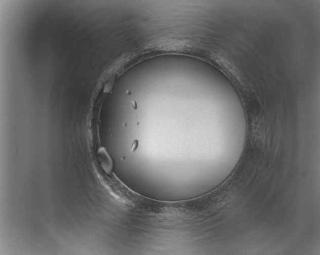 X0000073920682200608251550