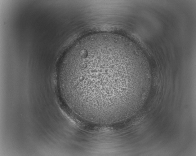 X0000073920683200608251550