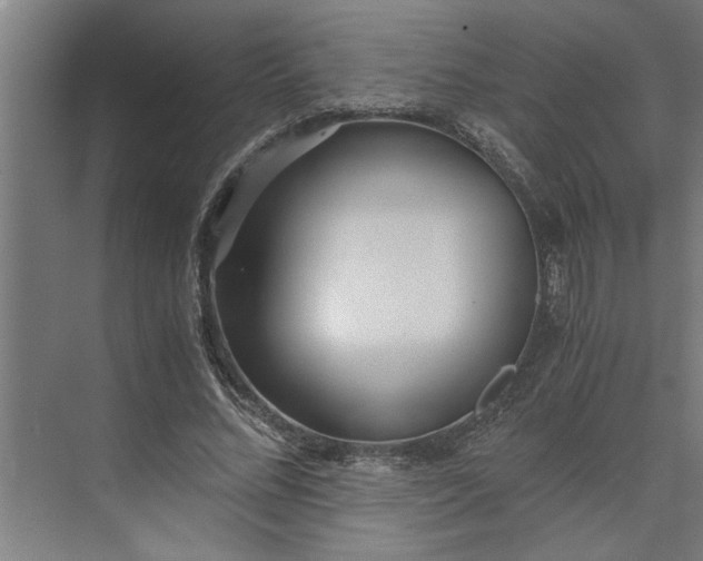 X0000073920684200608251550