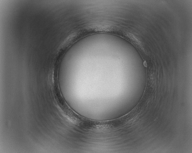 X0000073920686200608251550