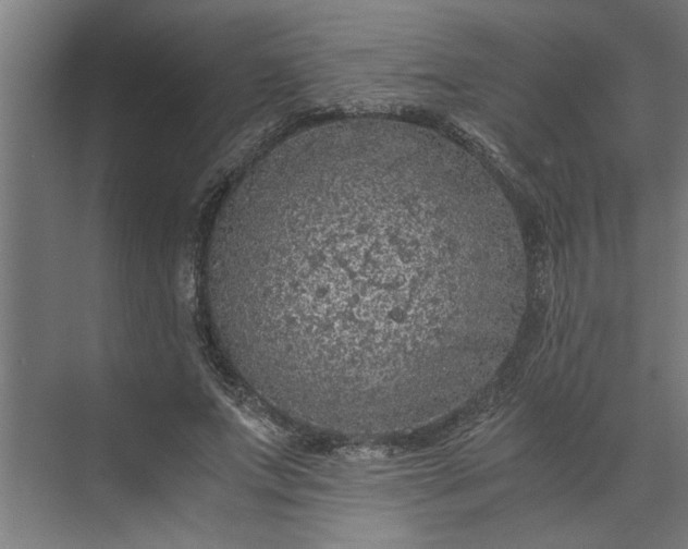 X0000073920687200608251550