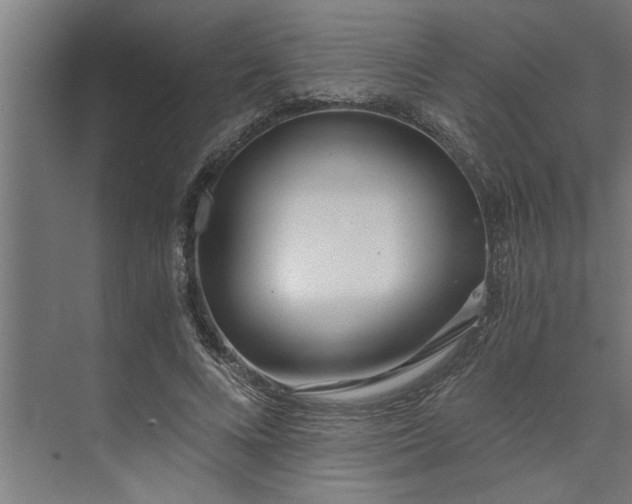 X0000073920688200608251550