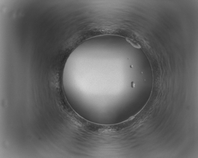 X0000073920689200608251550