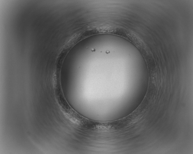 X0000073920690200608251550