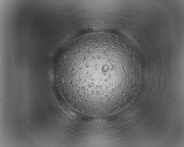 X0000073920691200608251550