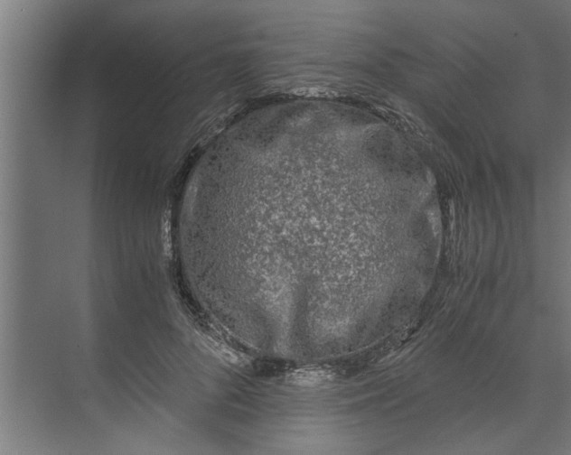 X0000073920696200608251550