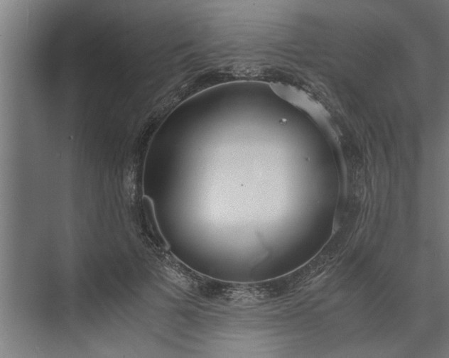 X0000073920697200608251550