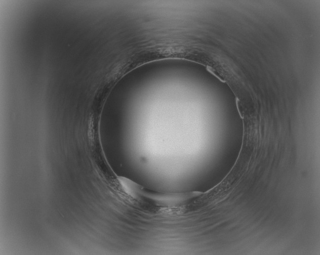 X0000073920700200608251549