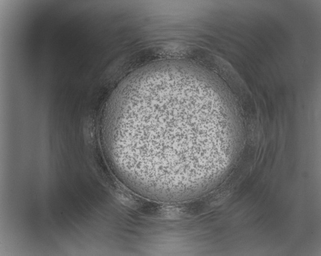 X0000073920701200608251549