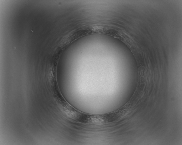 X0000073920702200608251549