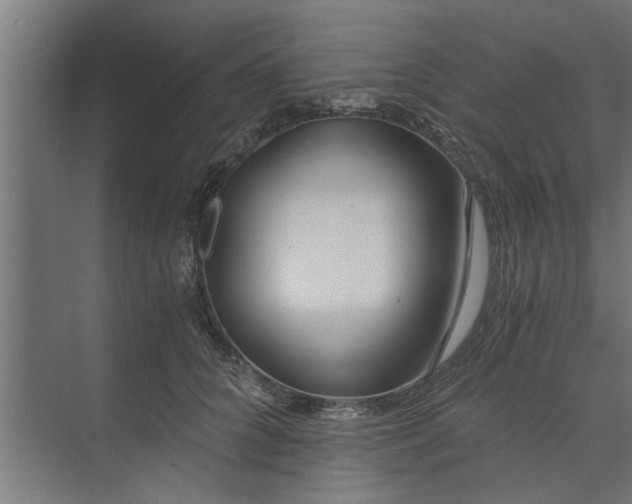 X0000073920704200608251549