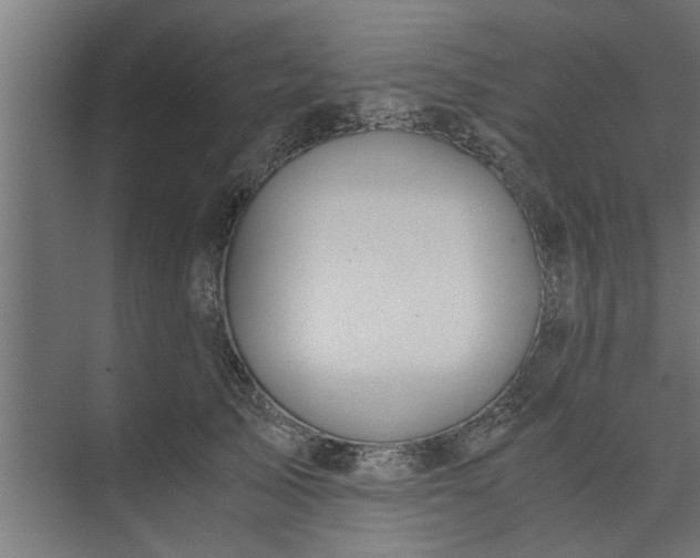 X0000073920705200608251549