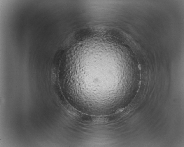 X0000073920707200608251549