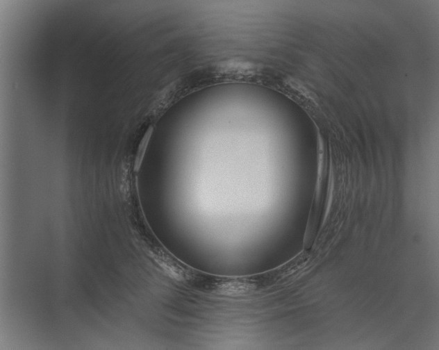 X0000073920708200608251549