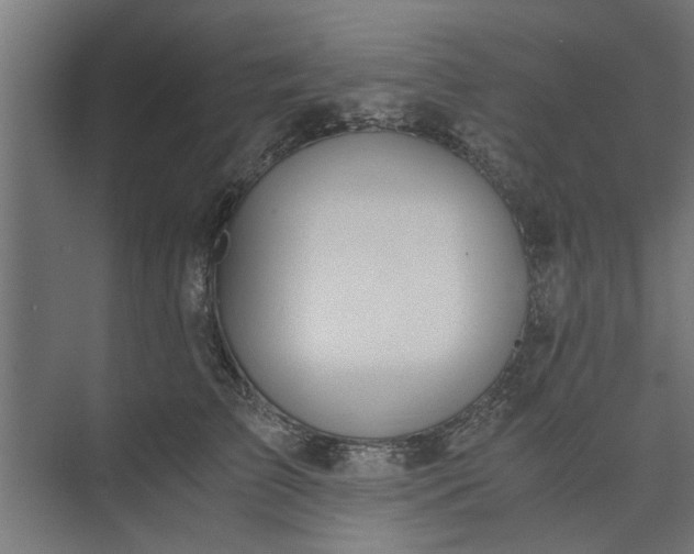 X0000073920709200608251549