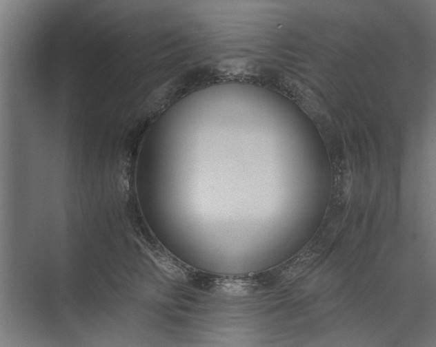 X0000073920710200608251549