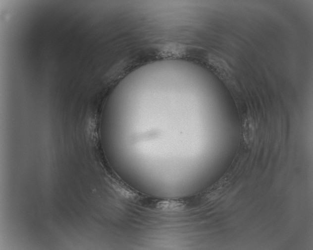 X0000073920714200608251549