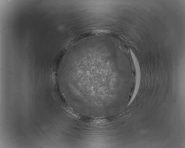 X0000073920716200608251549