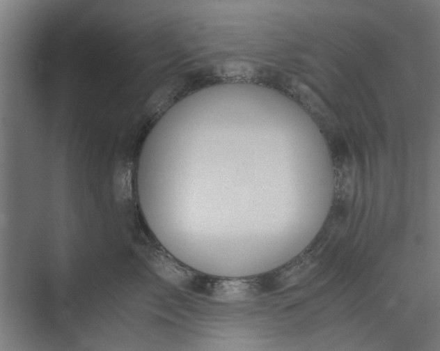 X0000073920717200608251549