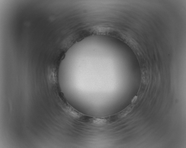 X0000073920718200608251549