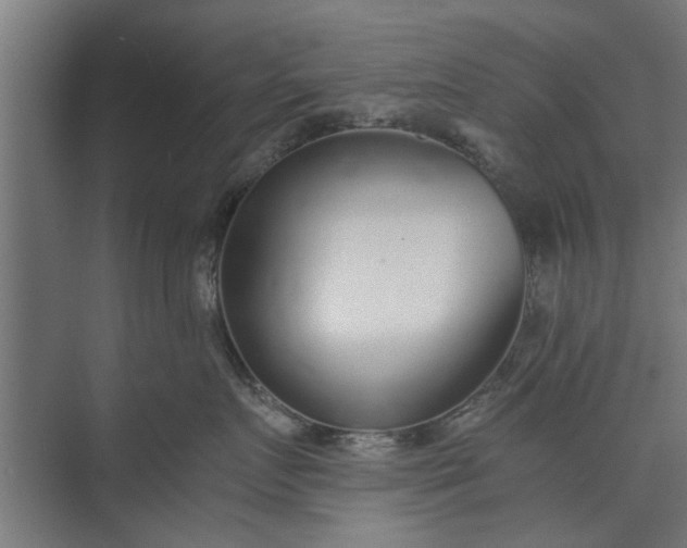 X0000073920719200608251549