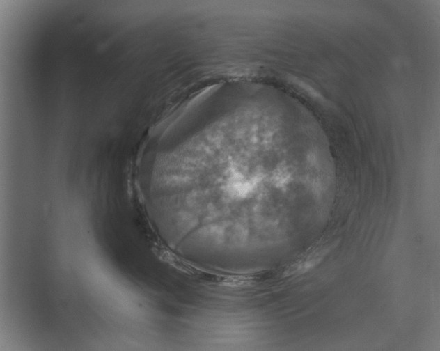 X0000073920720200608251549