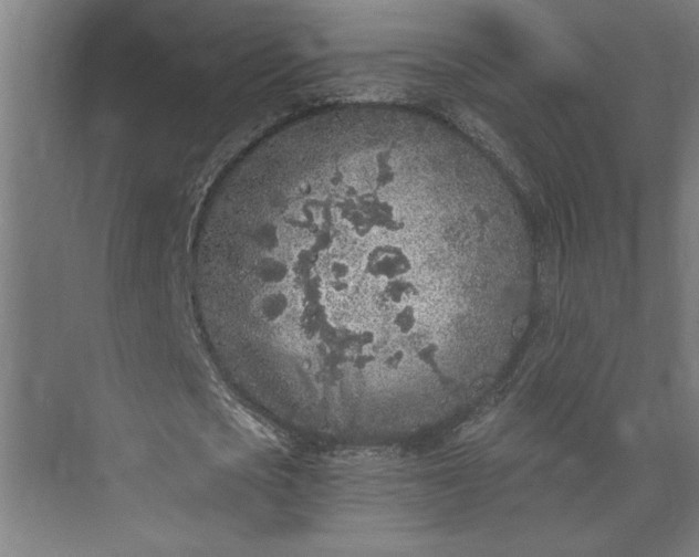 X0000073920721200608251548