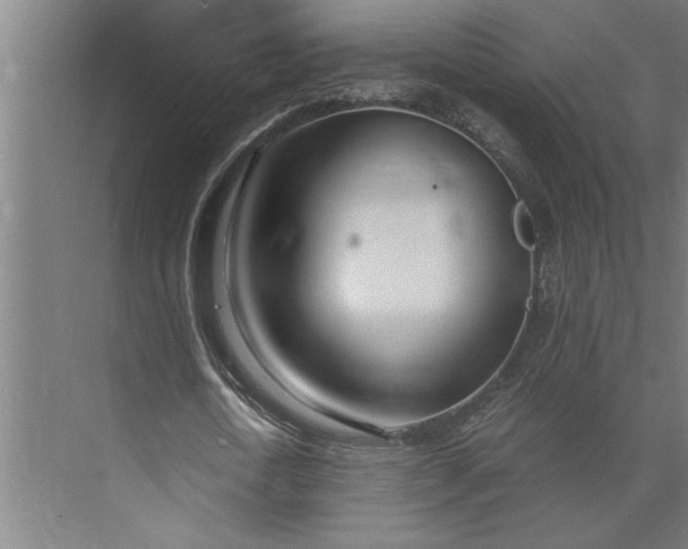 X0000073920722200608251548