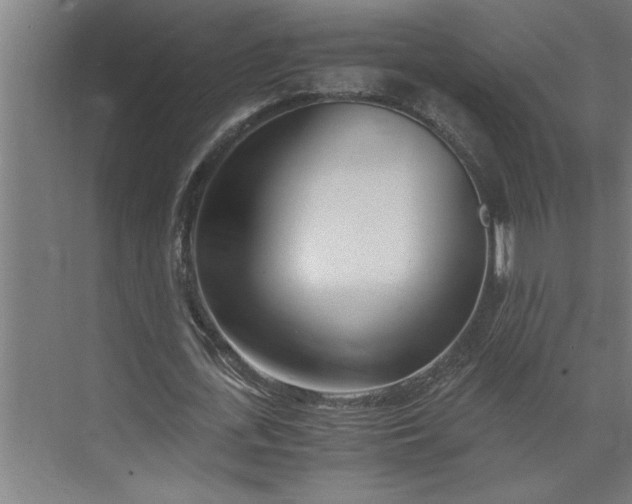 X0000073920723200608251548