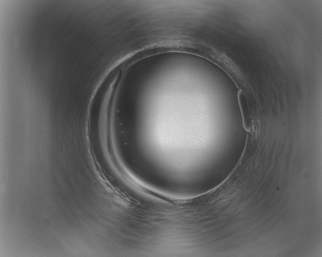 X0000073920724200608251548